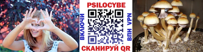 Галлюциногенные грибы GOLDEN TEACHER hydra онион Ивангород закладка